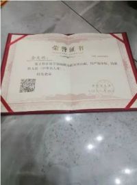 汲易精华演绎巅峰 当代著名风水大师——金大琳