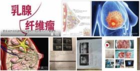 冉明医师创新国医精粹 铺就患者“健康之路” 开拓抗癌新路,突破绝症禁区。 中医世家三代秘技-扶正清毒抗癌疗法-中医肿瘤康复研究专家冉明