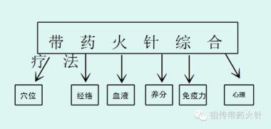 中医崛起（菁国医学）——唐建华