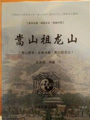 国际易学联盟少林分部主席——张建德