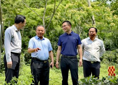 广东电视台播出《国家级中国茶文化首席非遗传承人·中国茶文化研究院院长罗大友在广东考察天子山茶区时呼吁加大无污染、纯绿色的优质茶生产》