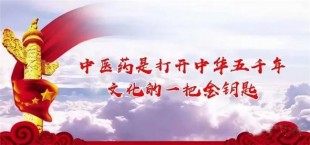 中国好中医——赵秀花