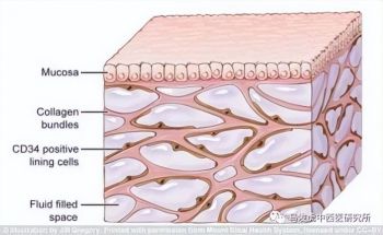 中国当代著名肿瘤中医专家——马发虎